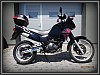 Suzuki DR 650 RSE