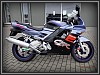 Honda CBR 600 F