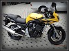 Yamaha FZS 1000 Fazer