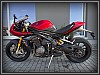 Triumph Speed Triple RR