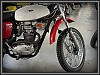 BSA Gold Star B 250