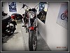 Ducati 350 Scrambler