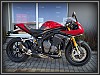 Triumph Speed Triple RR
