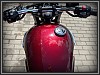 Triumph Bonneville T 120