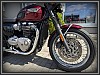Triumph Bonneville T 120